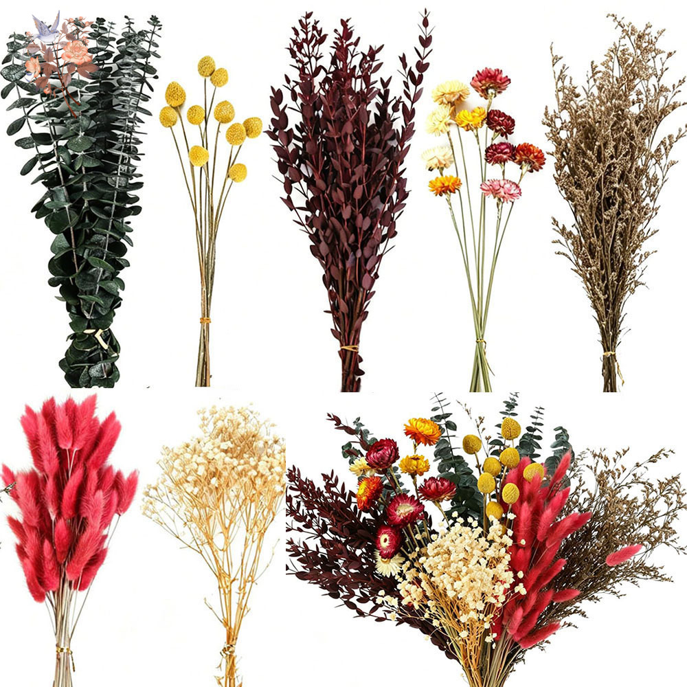 Florist Supply Bulk - Набор сухоцветов оптом, 7 видов, натуральные