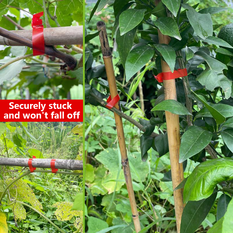 Машина для обвязки растений в  – обзор и цена Florist Supply Bulk
